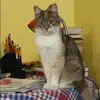Отзыв от Надежда Кононова